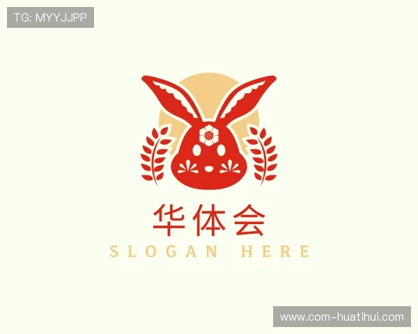 发现华体会官网